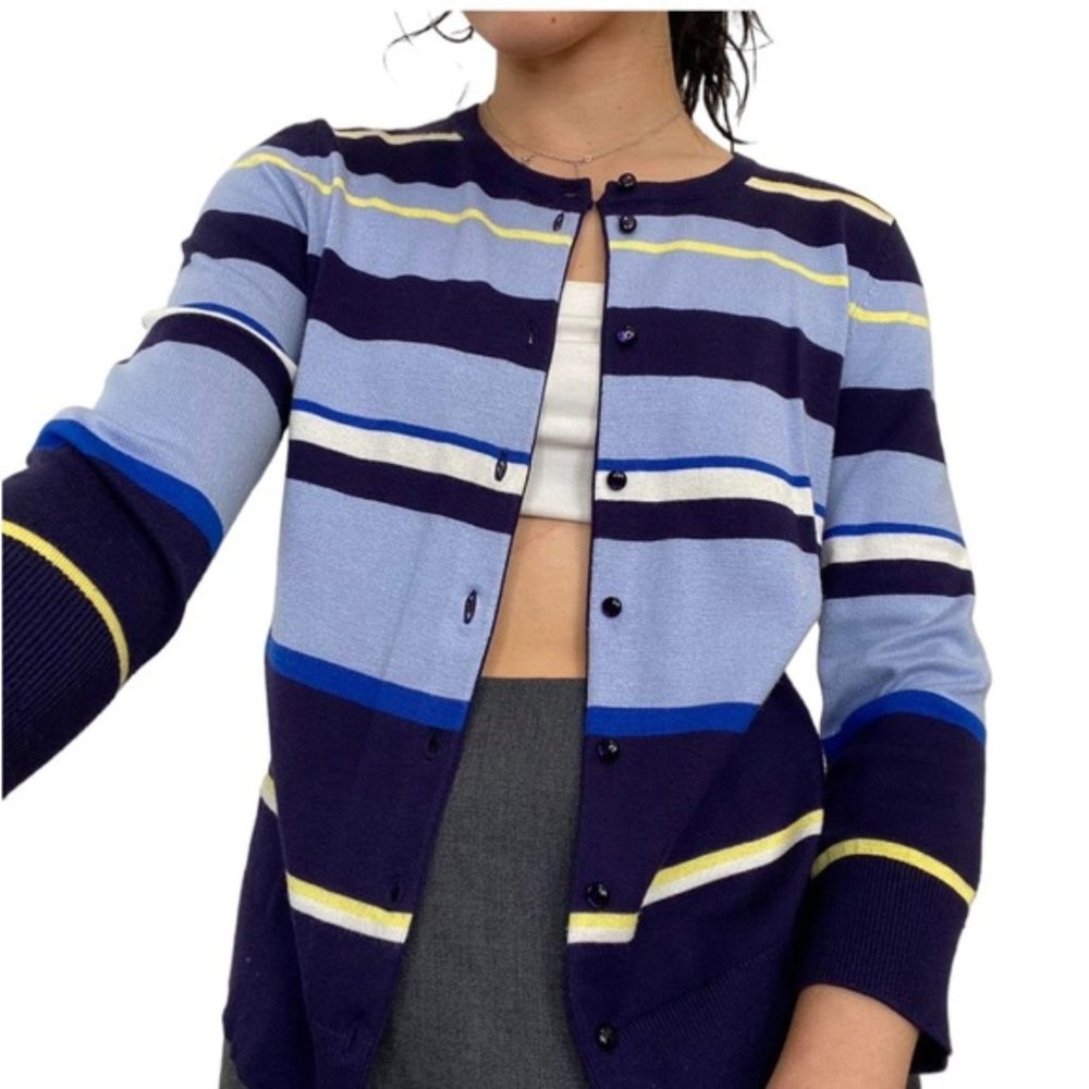 Cable & Gauge Blue Stripe Button Front Crew Neck Cardigan Sweater
